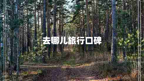 去哪儿旅行口碑