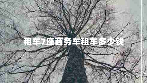 租车7座商务车租车多少钱