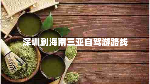 深圳到海南三亚自驾游路线