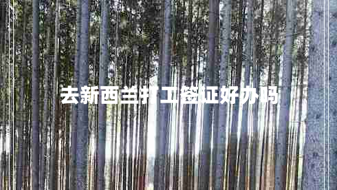 去新西兰打工签证好办吗