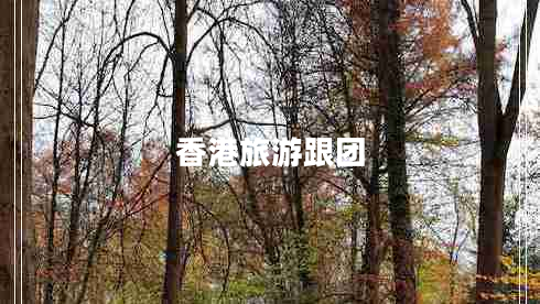 香港旅游跟团