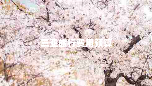 三亚旅行费用预算