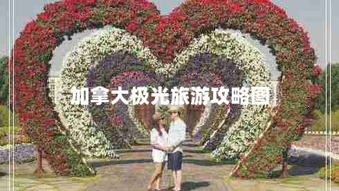 加拿大极光旅游攻略图