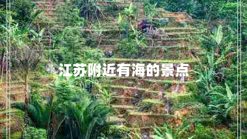 江苏附近有海的景点