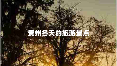 贵州冬天的旅游景点
