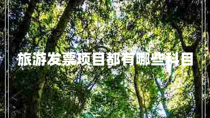旅游发票项目都有哪些科目