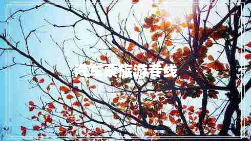 汽车票旅游专线