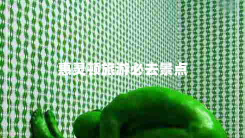 惠灵顿旅游必去景点