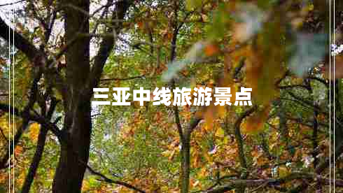 三亚中线旅游景点