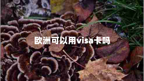 欧洲可以用visa卡吗