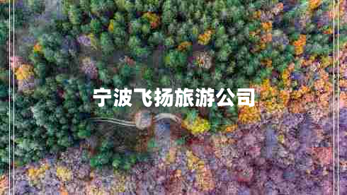 宁波飞扬旅游公司