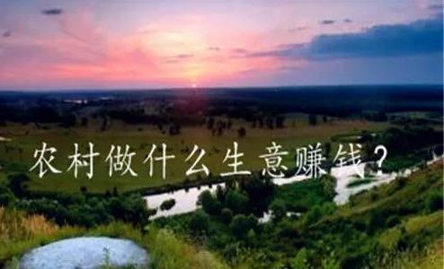 农村适合做什么生意