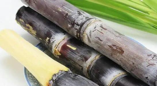 甘蔗施什么肥料最甜 甘蔗施什么肥料最甜