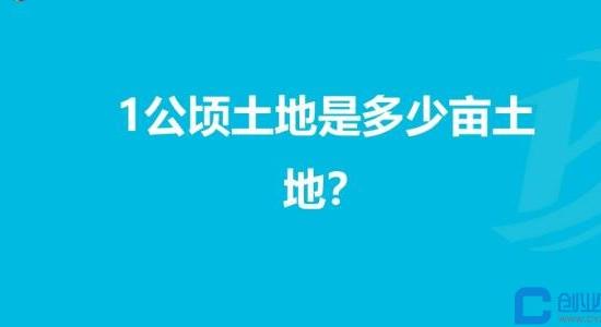 一公顷等于多少亩