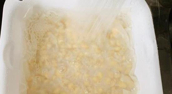 黄豆芽怎么发豆芽的步骤