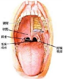 咽炎治疗方法有哪些