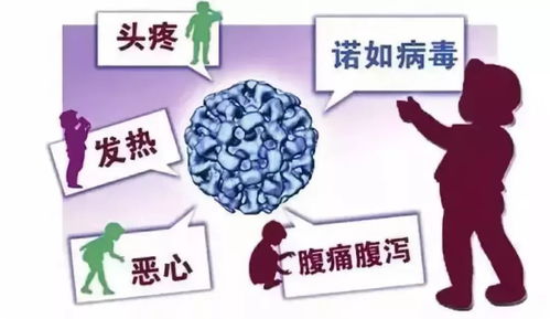 不被病毒传染的方法有哪些