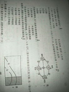 解决初中地理的方法有哪些