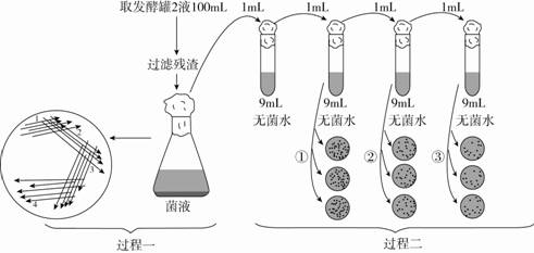 菌种鉴定有哪些方法