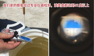 溶液的分类和浓度表示方法有哪些