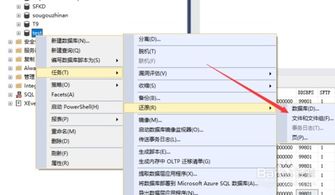 关于创建数据库的方法有哪些问题