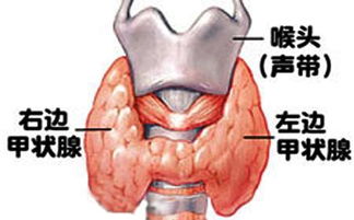 甲状腺中医治疗的方法有哪些方法有哪些方法