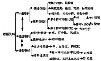 简述护理研究收集资料的方法有哪些