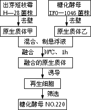 诱导动物细胞融合的方法有哪些