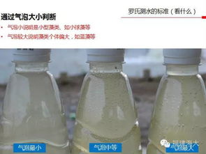 测水的方法有哪些特点