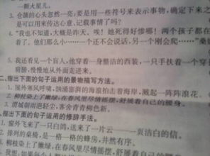 句子应用的描写方法有哪些