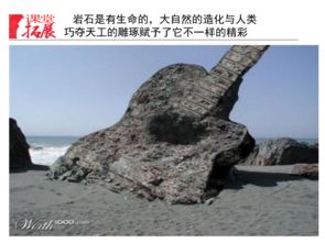 哪些方法研究岩石
