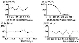微生物表现型表示方法有哪些