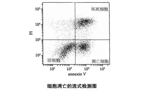 常用角度和维度的检测方法有哪些