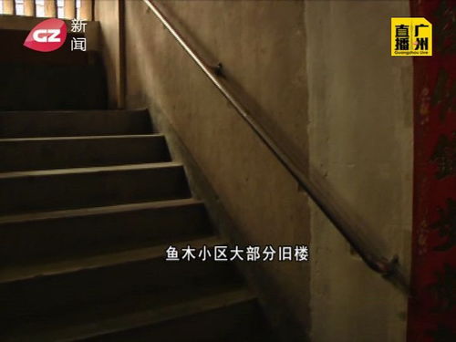 老人上下楼梯的辅助方法有哪些