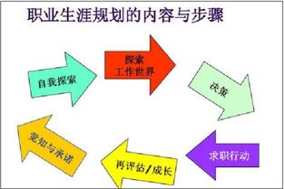职业决策的工具和方法有哪些内容