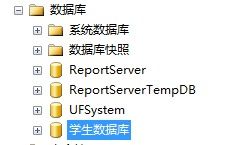 数据库安全控制的常用方法有哪些