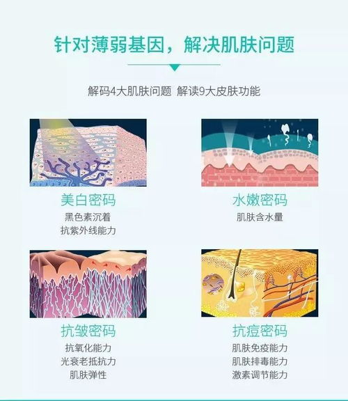 科学方法的层次不包括哪些内容是什么