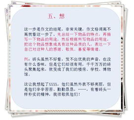 小学生写文章的方法有哪些内容
