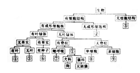 生物基本方法有哪些