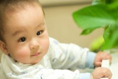 小孩子补钙有哪些方法