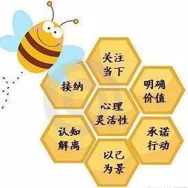 正念训练有哪些方法