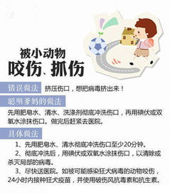 请简述挫伤的原因与症状及处置方法有哪些