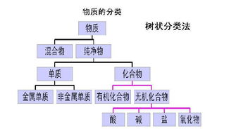 常见分类方法有哪些类型