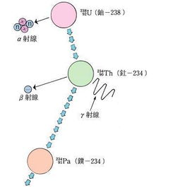 铀含量的检测方法有哪些