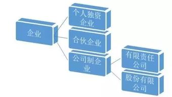 企业有哪些分类方法