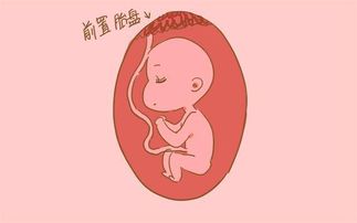 有哪些方法可以导致胎停