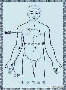 经络疏通有哪些方法