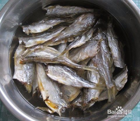 河里搞鱼有哪些方法