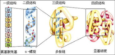 测蛋白质含量都有哪些方法有哪些方法