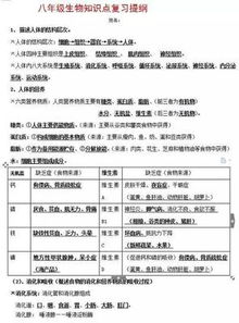 毕业设计实验方法有哪些